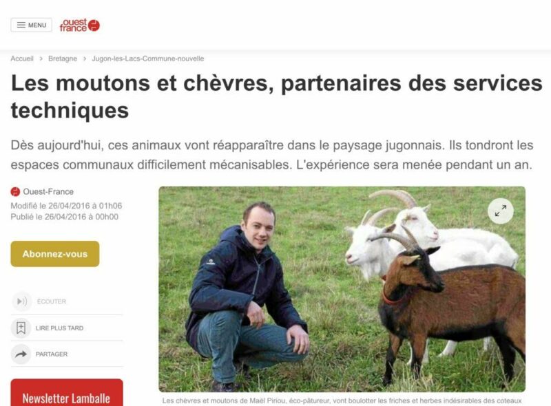 Article de presse de Ouest France sur l'éco-pâturage chez Patur'Rance