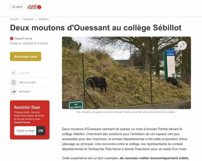 Article de presse de Ouest France sur le collège de Sebillot et les moutons de Ouessant