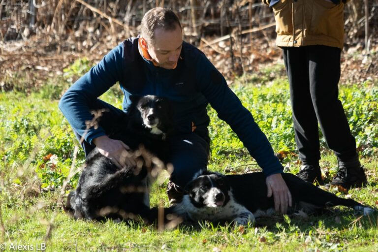 Le berger avec son équipe : ses chiens