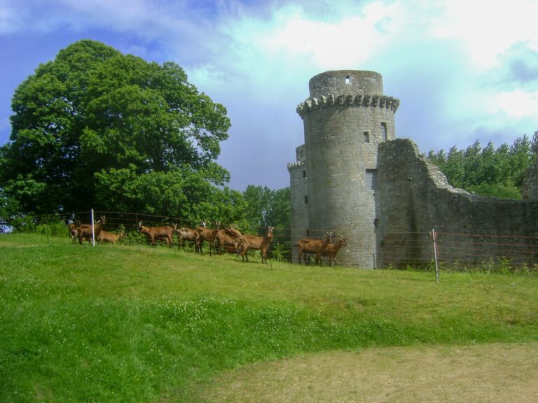 Chantier des abords du château de la Hunaudaye