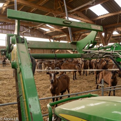 Tracteur avec les chèvres pour le complément de l'entretien mécanique - Garantie